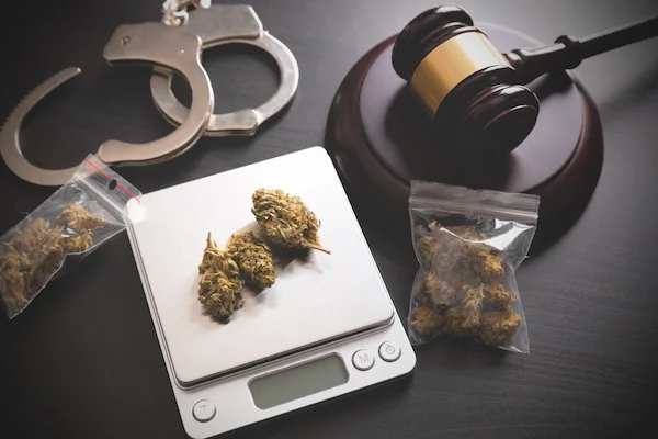 Handcuffs, gavel, and marijuana buds on a scale represent drug possession charges.